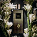 チュべルーズ アブソリュ|チュベローズのアブソリュート