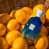 ポメロ リビエラ