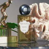 キャクタイ|サボテン