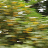 17 ナンダン ロード