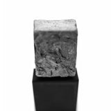 オーパス 1144|1144年の作品