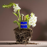 ビーロクイチニ|小惑星B612