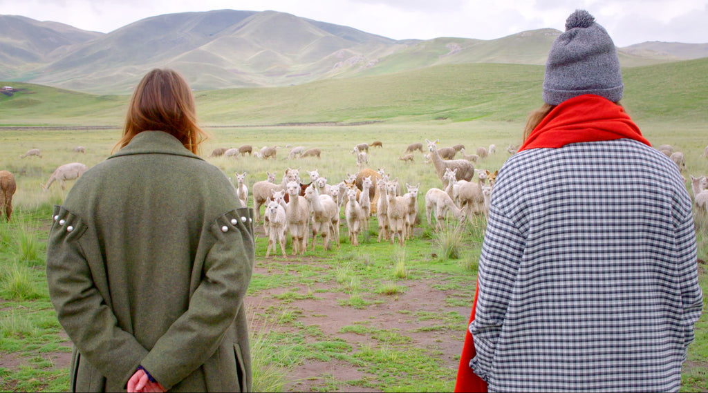 1800_sub1_1024x.jpg?v=1694580605