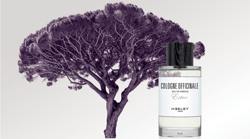 COLOGNE_OFFICINALE_top_1024x.