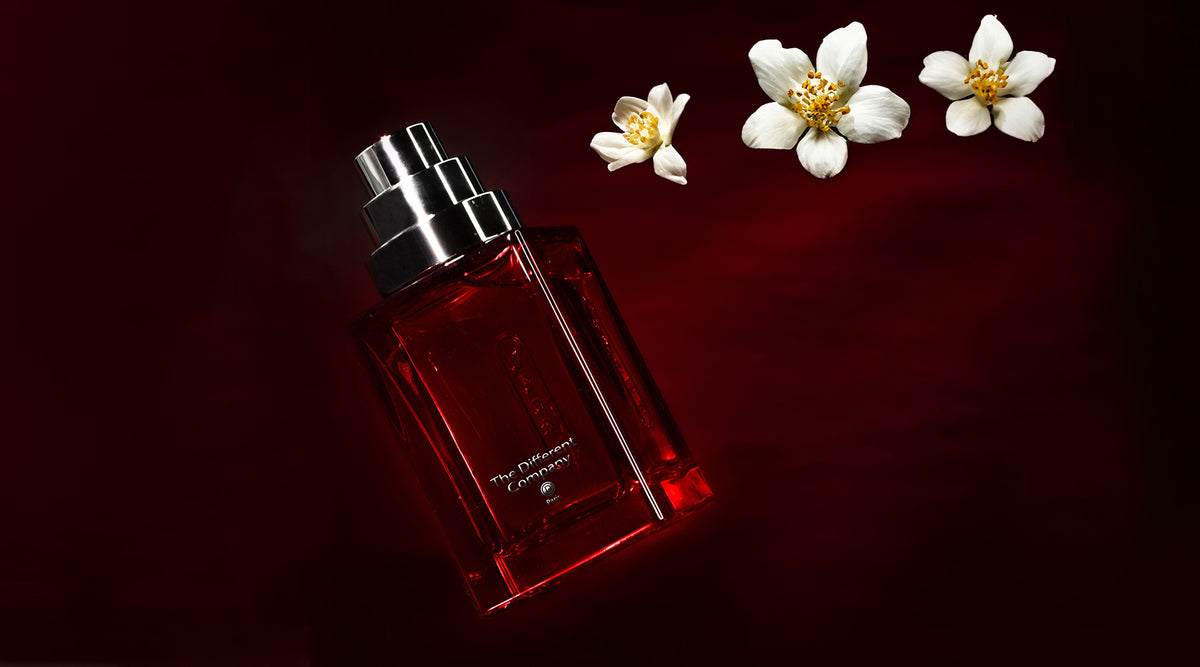 Nicolaiから7/19より、木の温もりを感じられる穏やかな香りのルーム