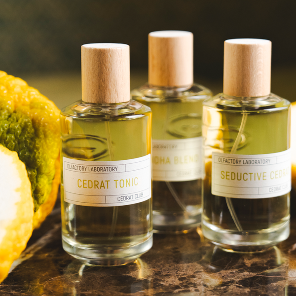 リキッドイマジネール セドラ トニックオードパルファン100ml Eau de リキッドイマジネール セドラ トニックオードパルファン100ml Eau de