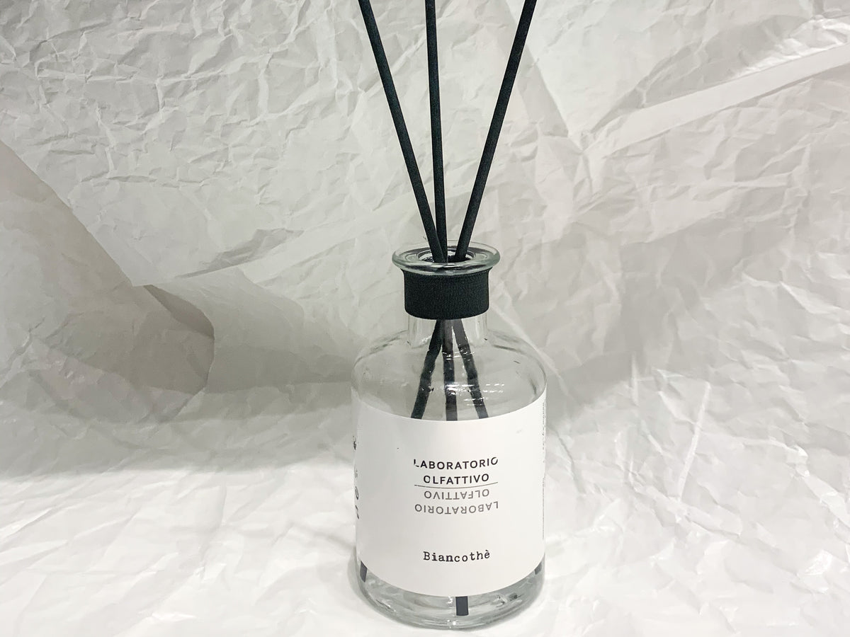 AGONIST（アゴニスト）取扱い終了のお知らせ – NOSE SHOP