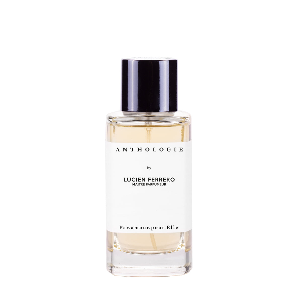 ラビット｜ウサギ – NOSE SHOP