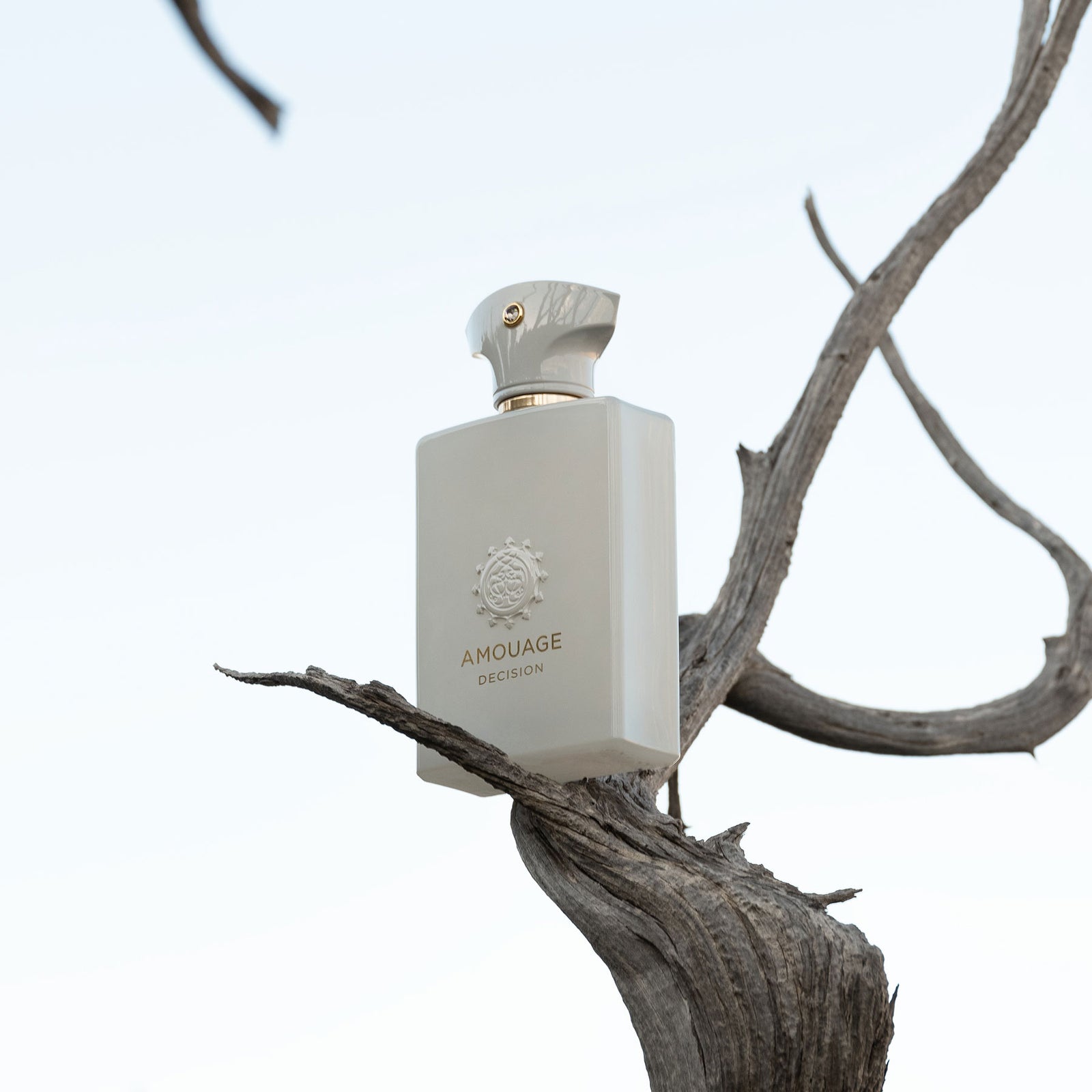 ディシジョン – NOSE SHOP