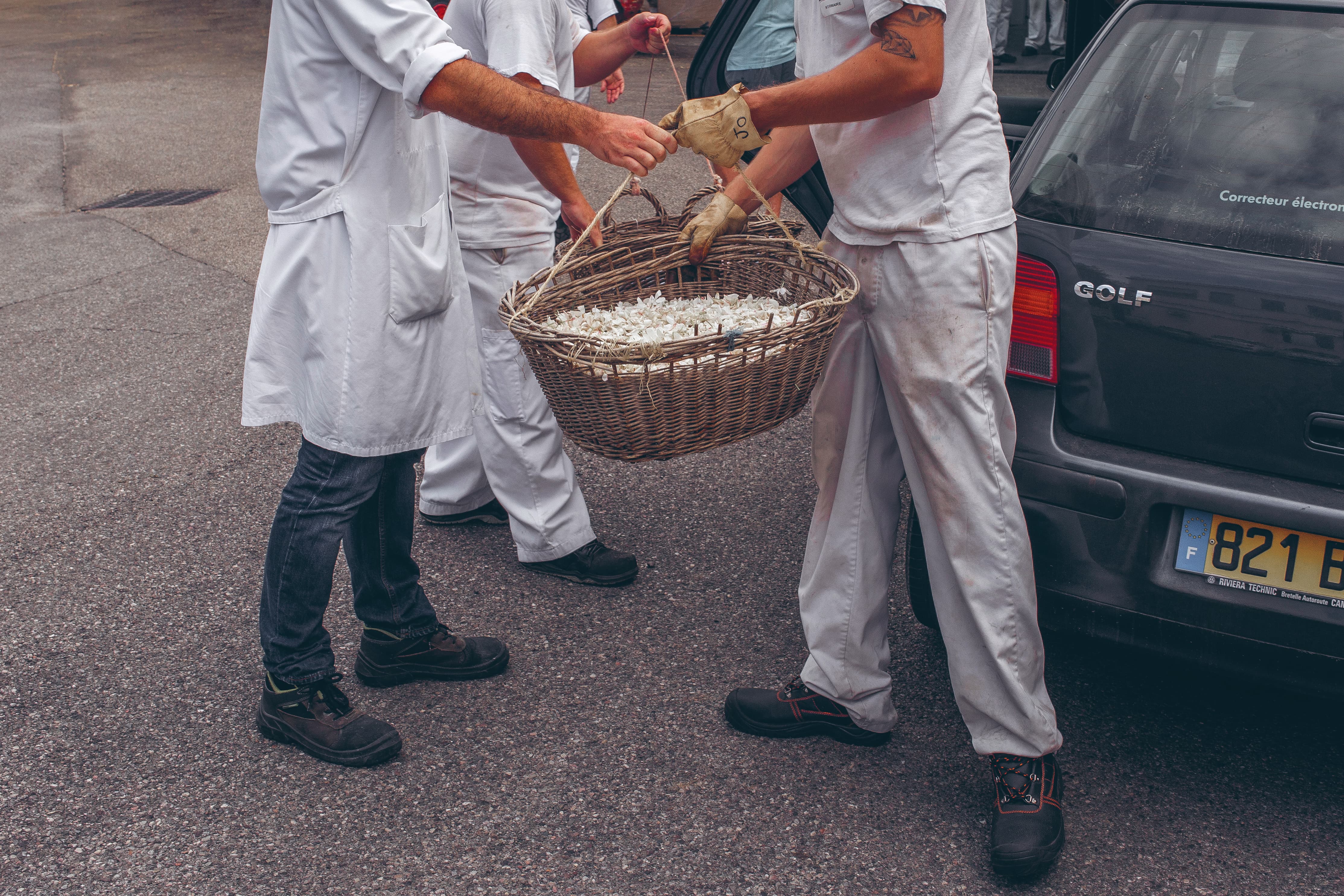 グラース──彼らがただ「花」と呼ぶもの