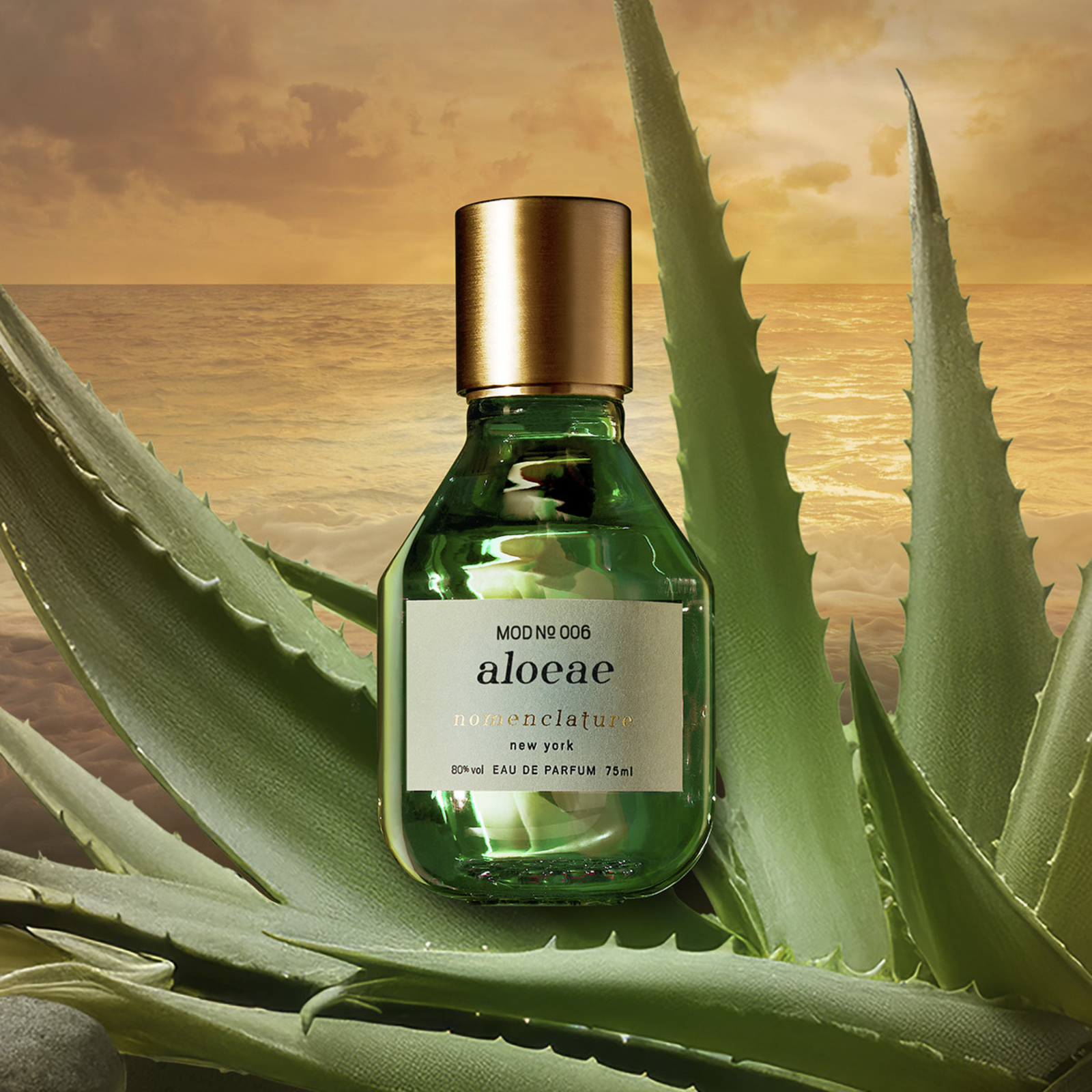 アロエ – NOSE SHOP