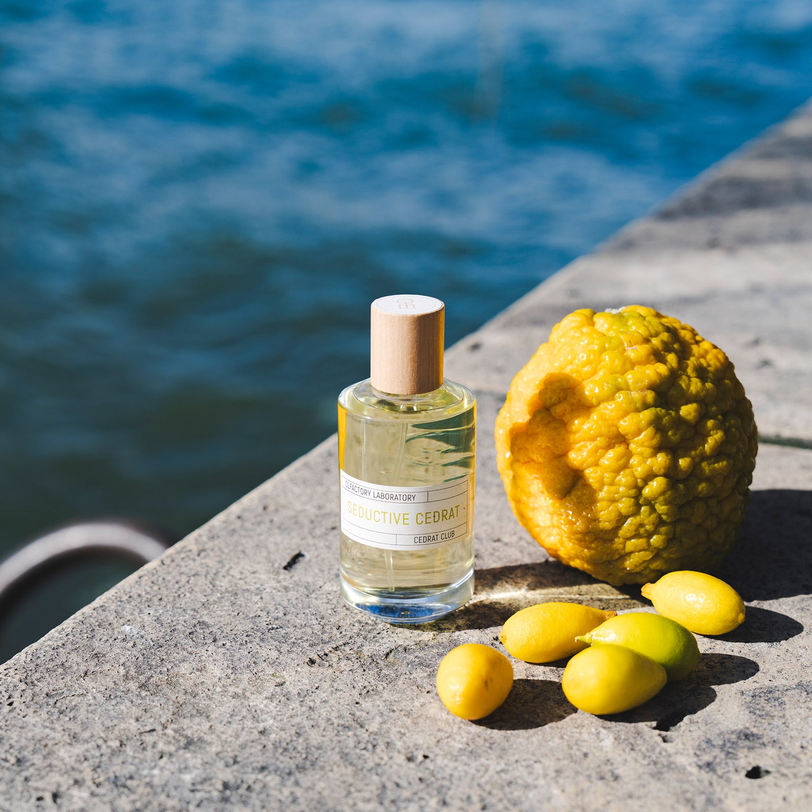 リキッドイマジネール セドラトニック オードパルファン 100ml 香水 Eau de Parfum - CEDRAT TONIC