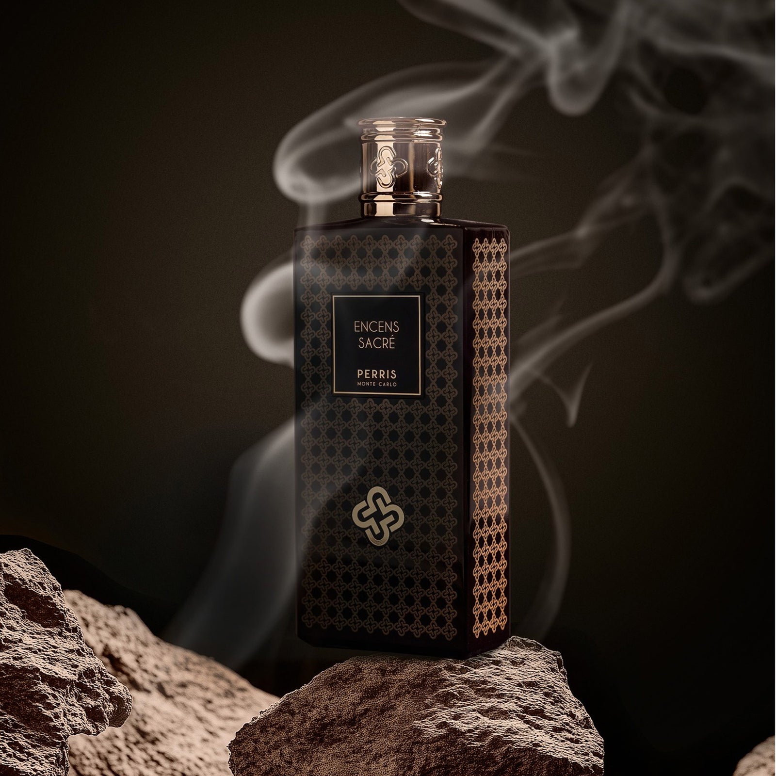 462129927_941025854722554_4580