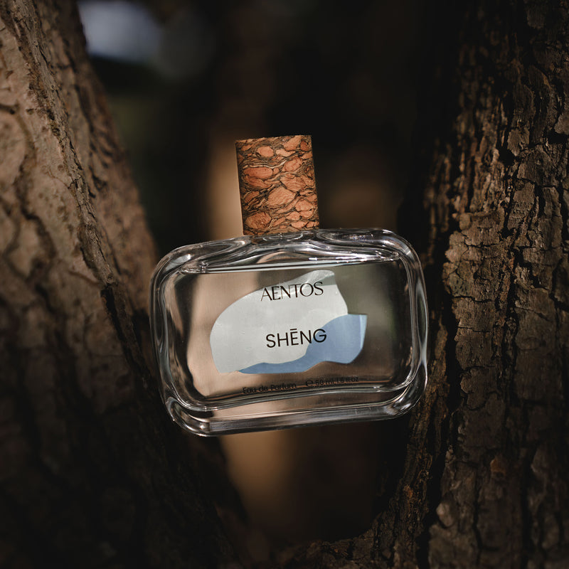 シェン｜命、前へ – NOSE SHOP