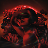 ヴォリュプテ ノワール