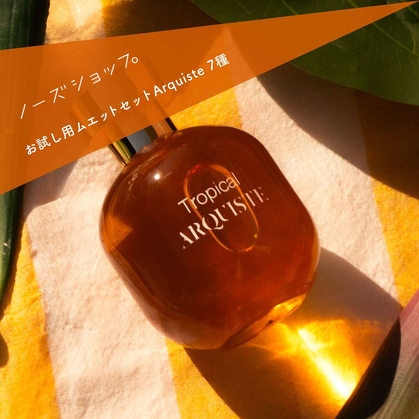 送料無料】ムエットセット Arquiste（数量限定1/22以降発送） – NOSE SHOP