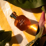 ラ・トロピカル｜2022年12月31日 ユカタン州 メリダ