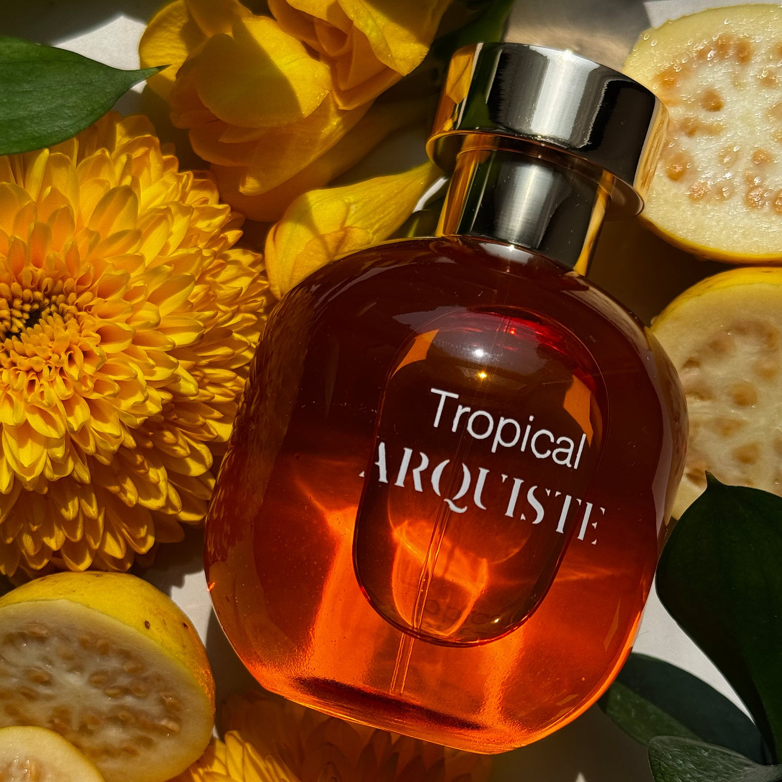 ノーズショップ/ラ・トロピカルARQUISTE Tropical 30ml ラ・トロピカル｜2022年12月31日 ユカタン州 メリダ – NOSE SHOP