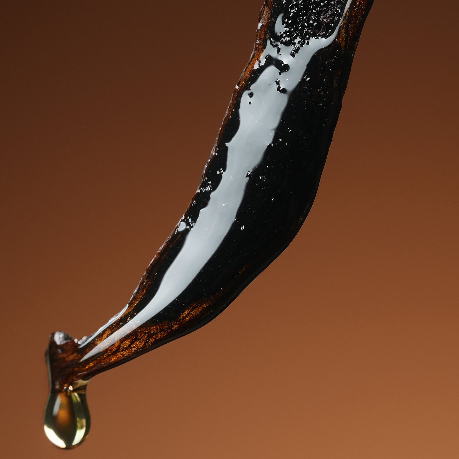 バニーユ キャビア – NOSE SHOP