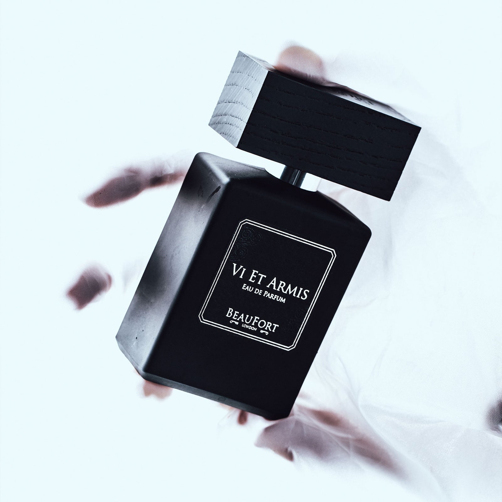 ヴィ エト アルミス｜力による現状変更 – NOSE SHOP