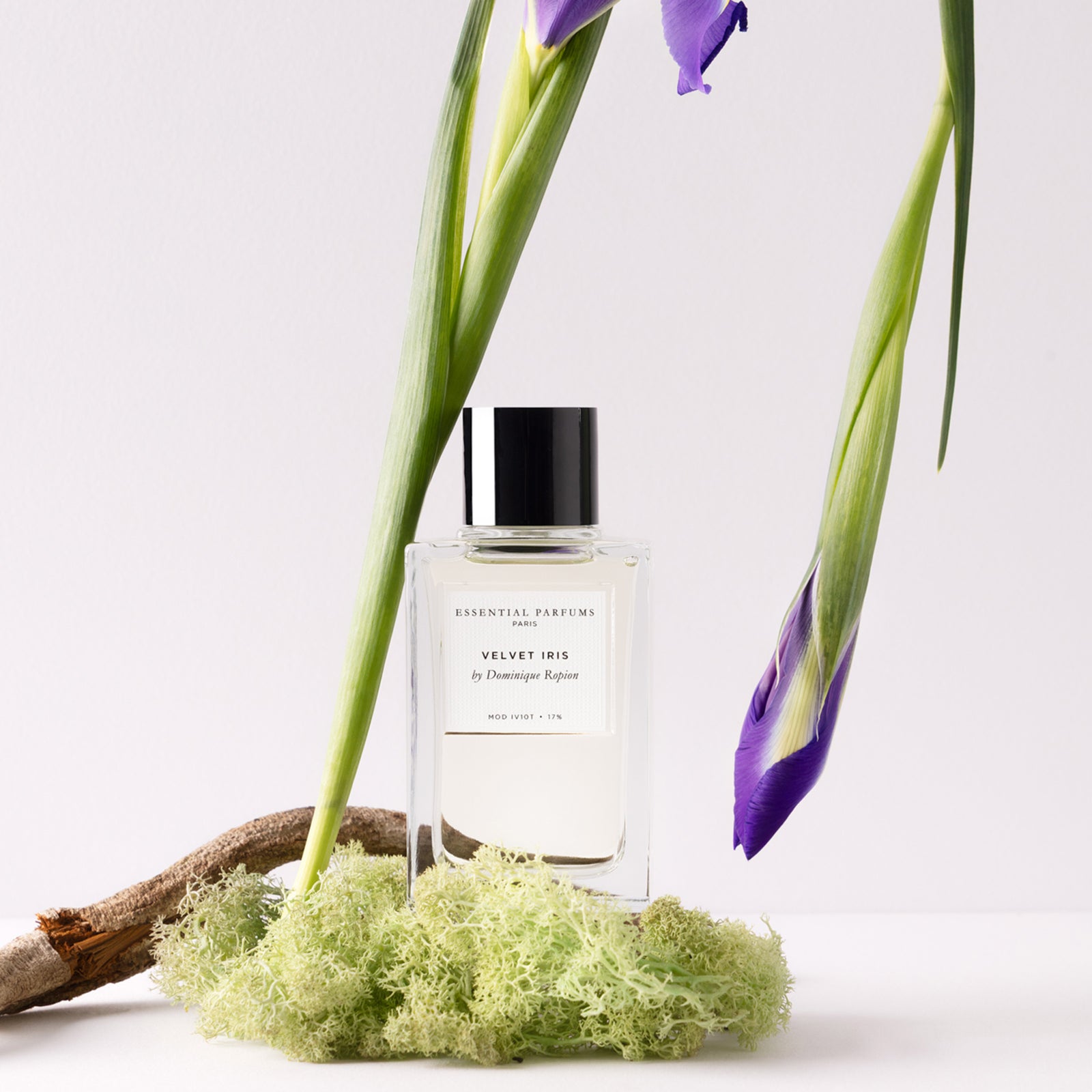 ESP オードパルファム ベルベット アイリス 100ml 箱無し ベルベット アイリス – NOSE SHOP