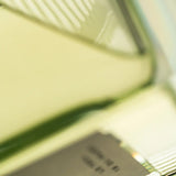 ル トゥルー 19 デュ ファール｜19番ホールの儀式