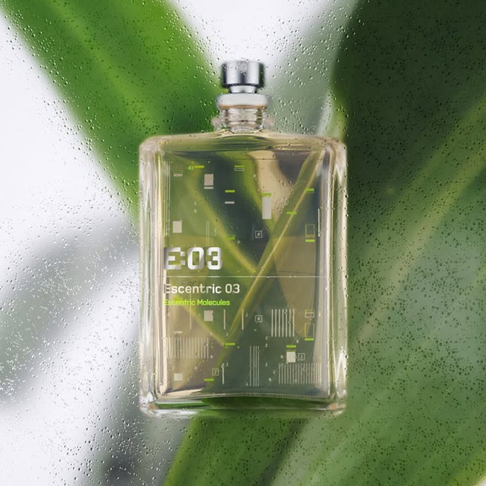 エセントリック03 – NOSE SHOP