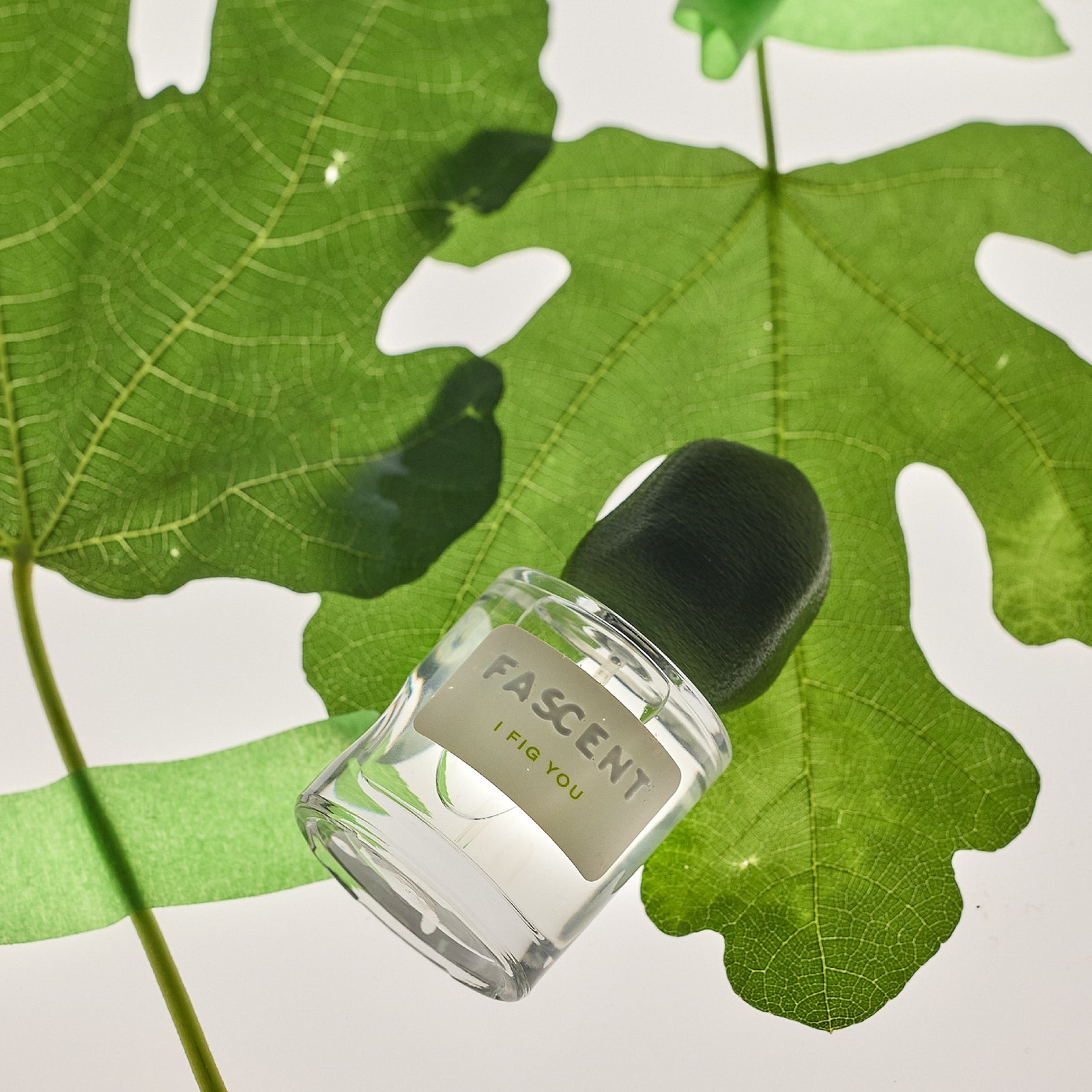 アイフィグユー – NOSE SHOP