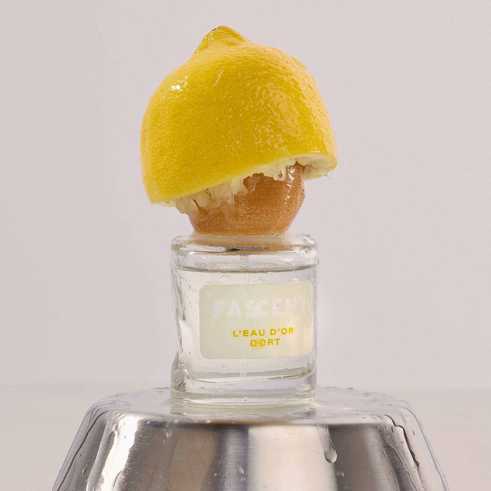 FASCENT ロードールドール 30ml ロー ドール ドール – NOSE SHOP