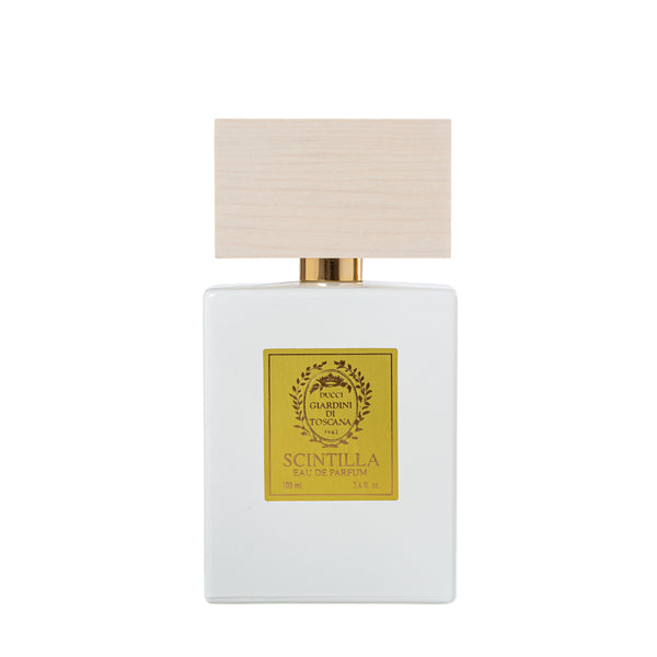 シンティッラ｜眩い閃光