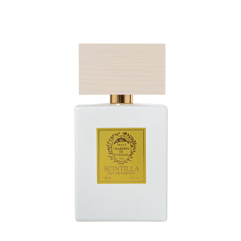 シンティッラ｜眩い閃光