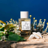 ル シャン ダシール｜アキレウスを讃える歌