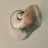 リキッドソープ