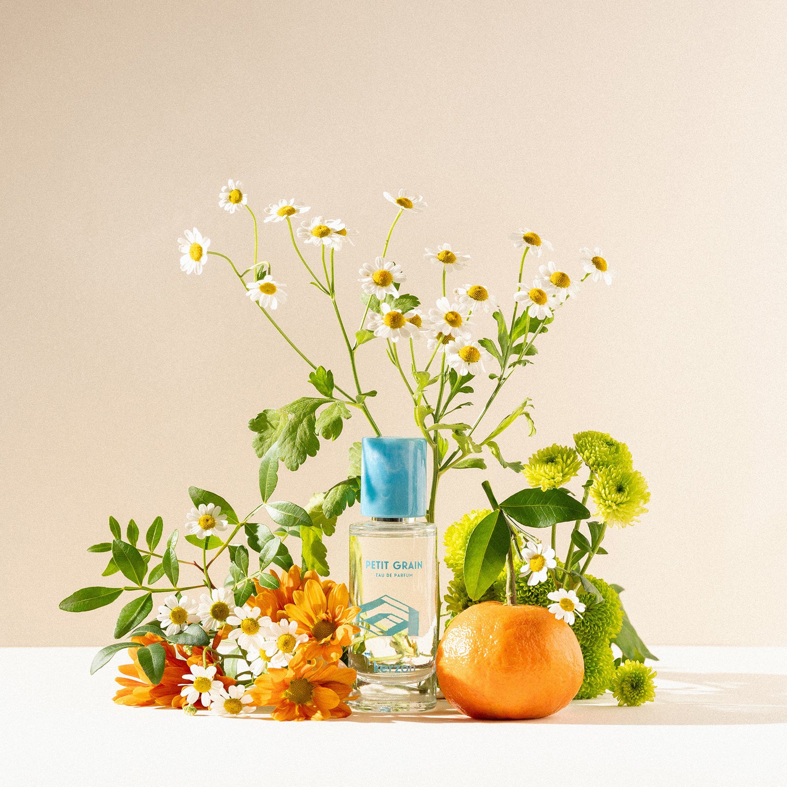 プチ グラン|シトラス アロマティックな香り – NOSE SHOP プチ グラン|シトラス アロマティックな香り – NOSE SHOP