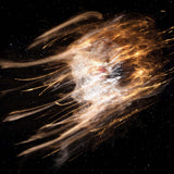 アルタムーラ｜アルタムーラの男