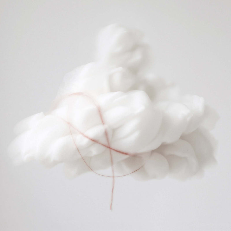 ドーン ウィスパーズ｜夜明けの囁き