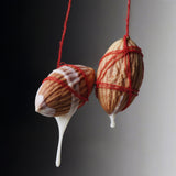 スマンス ドゥース｜甘美なる種子