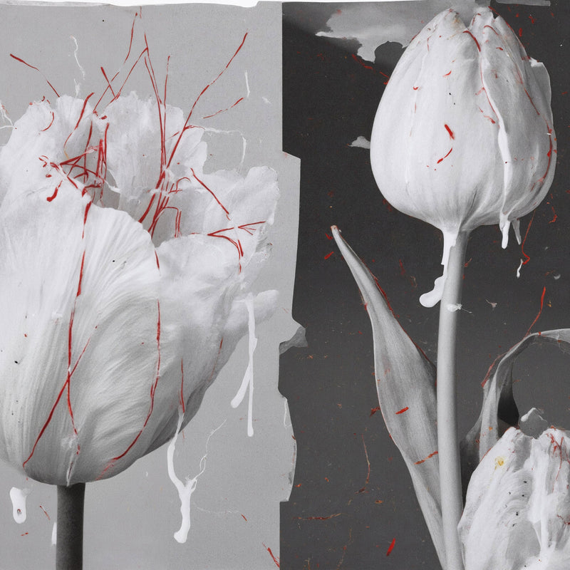 スマンス ドゥース｜甘美なる種子