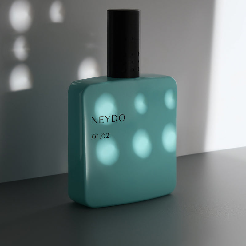 ブレス アウト 01.02｜2月1日 エイデンの夢