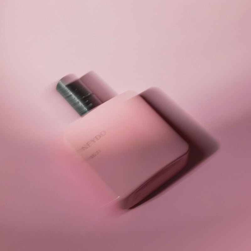 ブロンド レッドヘッド 16.11｜11月16日 アントワーヌの夢