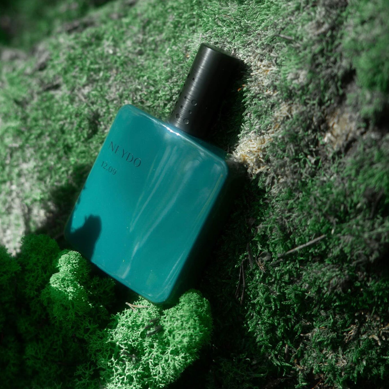 モスランド 12.09｜9月12日 ロベルトの夢 – NOSE SHOP