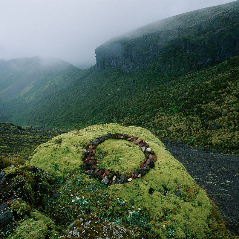 シプレショット – NOSE SHOP