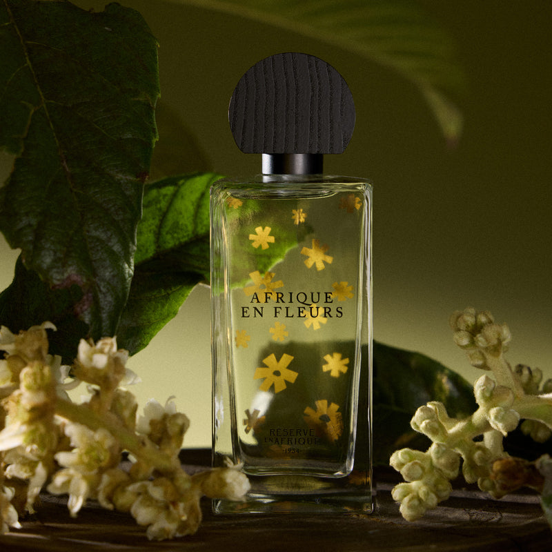 アフリク アン フルール｜アフリカの花