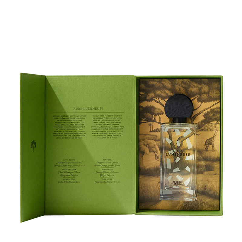 オーブ ルミヌーズ｜輝きの夜明け