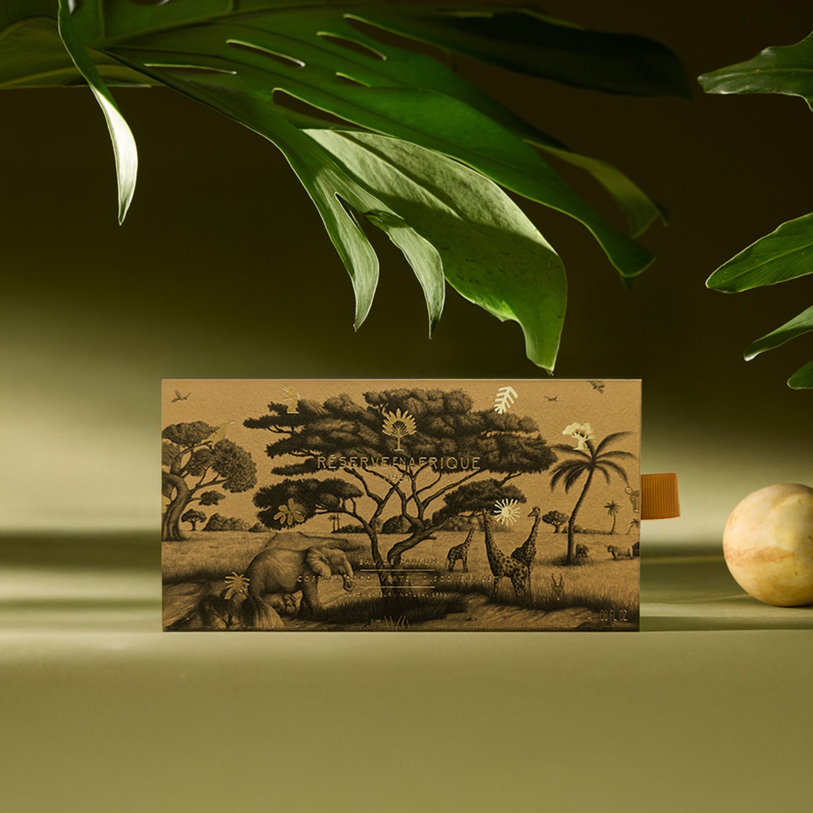 ディスカバリーセット – NOSE SHOP