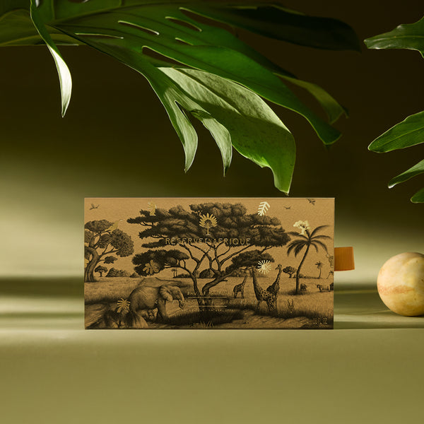 ディスカバリーセット