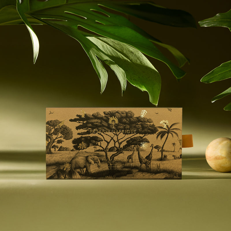 ディスカバリーセット