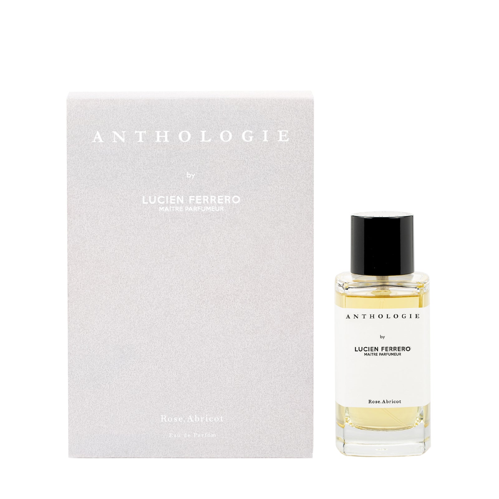 ローズ アブリコ｜陽だまりの薔薇 – NOSE SHOP