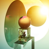 モンキーフラワー｜モンキーフラワー