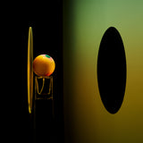 モンキーフラワー｜モンキーフラワー